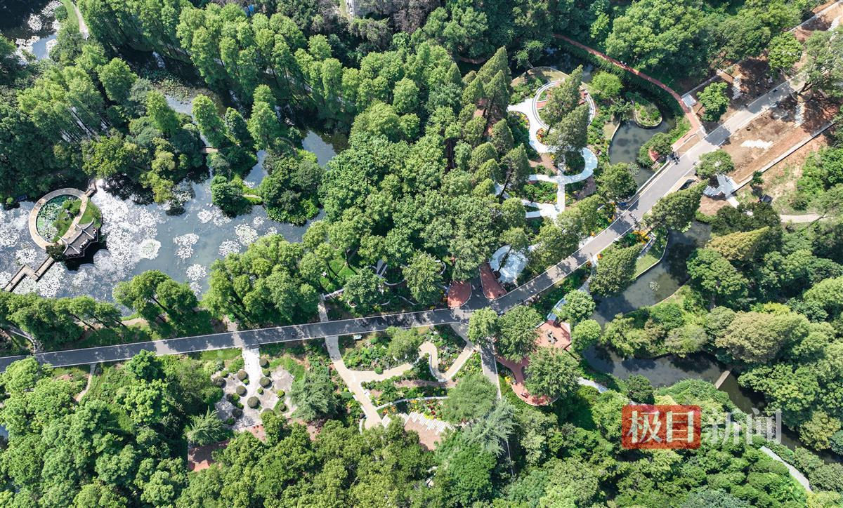 乐游贵州麻将